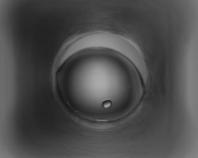 X0000101420008200807071326