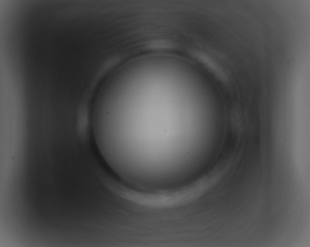 X0000101420015200807071325