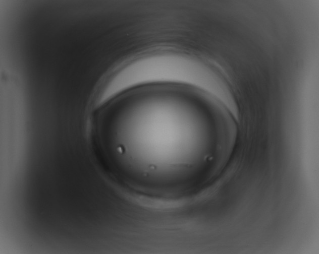X0000101420016200807071325