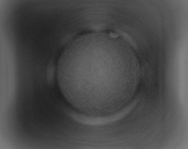 X0000101420018200807071325