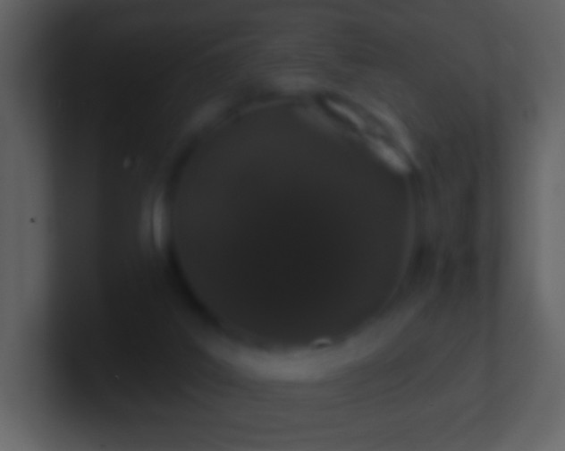 X0000101420019200807071325