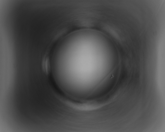 X0000101420020200807071325