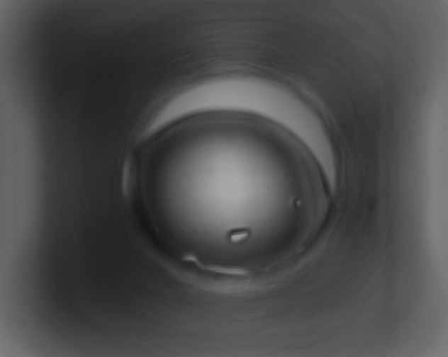 X0000101420024200807071325