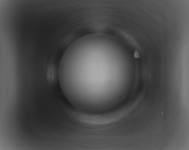 X0000101420026200807071325