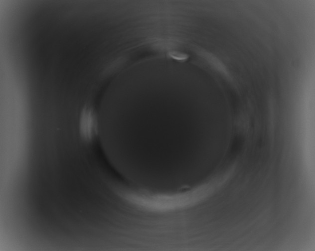 X0000101420027200807071325