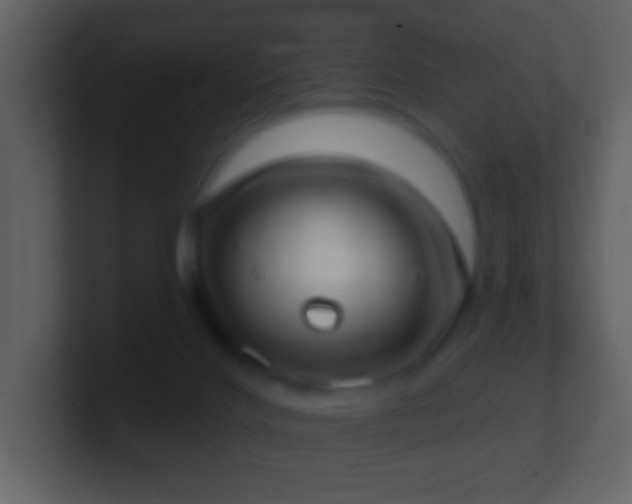 X0000101420028200807071325