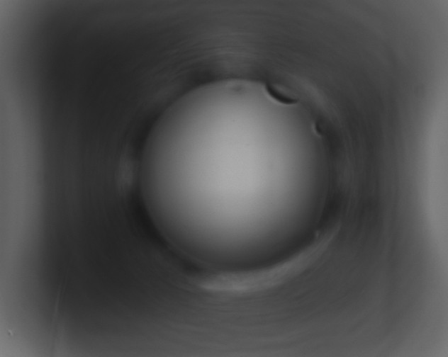X0000101420033200807071325