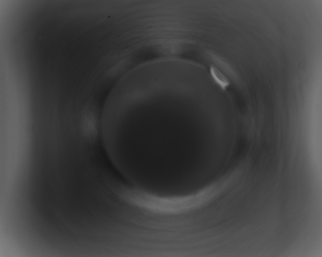 X0000101420035200807071325