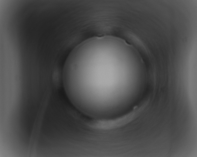 X0000101420037200807071325
