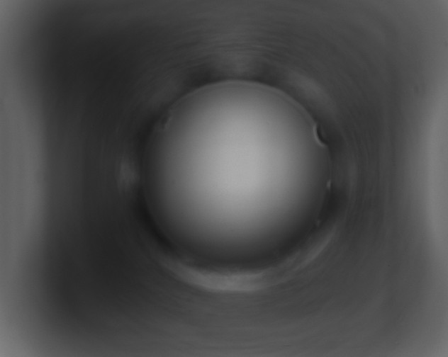 X0000101420040200807071325