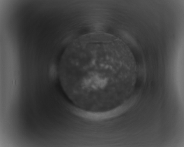 X0000101420043200807071325