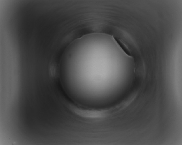 X0000101420044200807071325