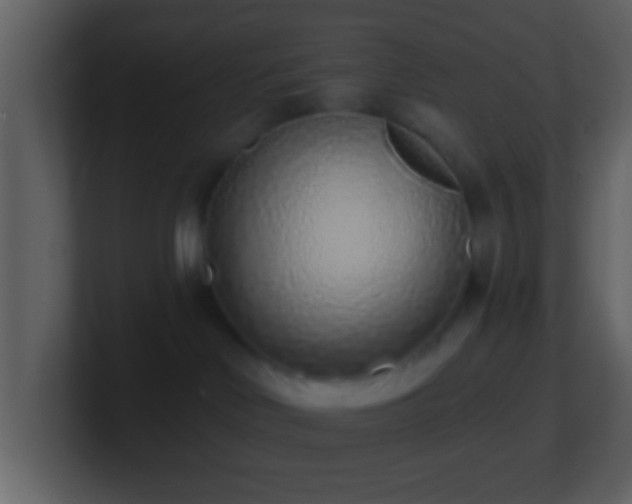 X0000101420046200807071325