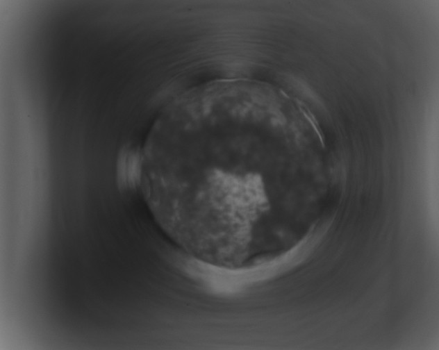 X0000101420047200807071325