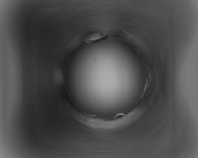 X0000101420048200807071325
