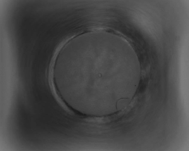 X0000101420049200807071324