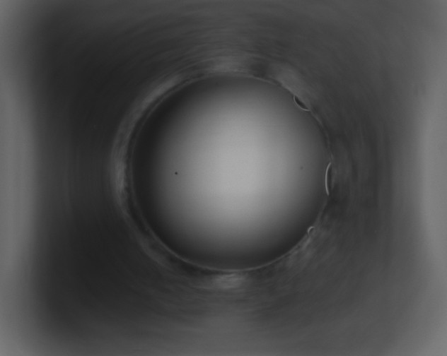 X0000101420050200807071324