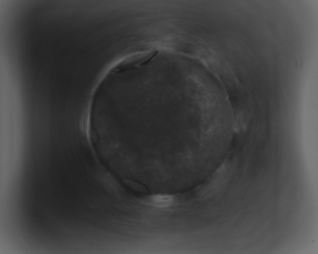 X0000101420052200807071324