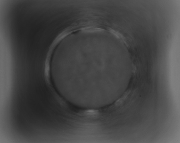 X0000101420053200807071324