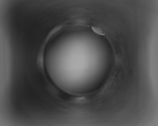 X0000101420054200807071324