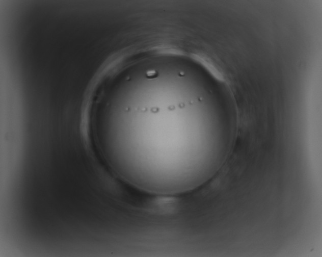 X0000101420055200807071324