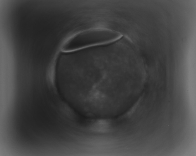 X0000101420056200807071324
