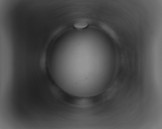 X0000101420058200807071325