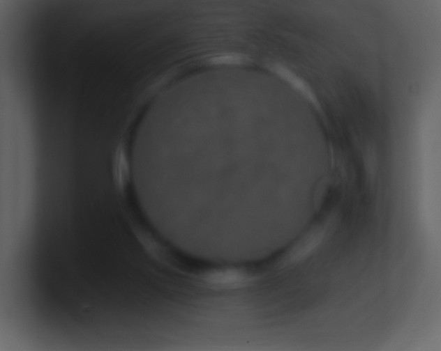 X0000101420061200807071325