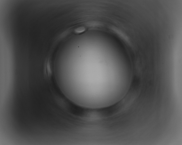 X0000101420062200807071325