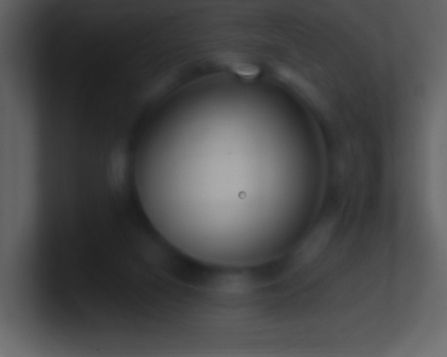 X0000101420066200807071325