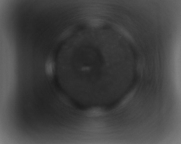 X0000101420076200807071325