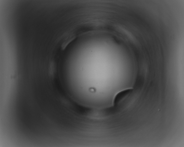 X0000101420077200807071325