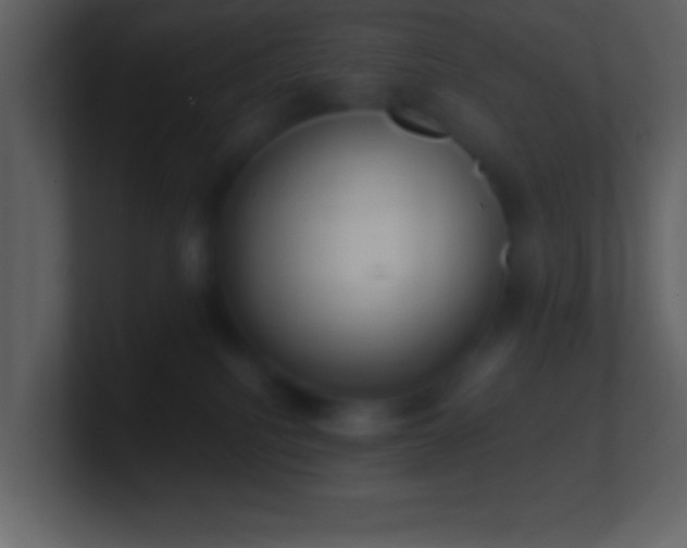 X0000101420088200807071325