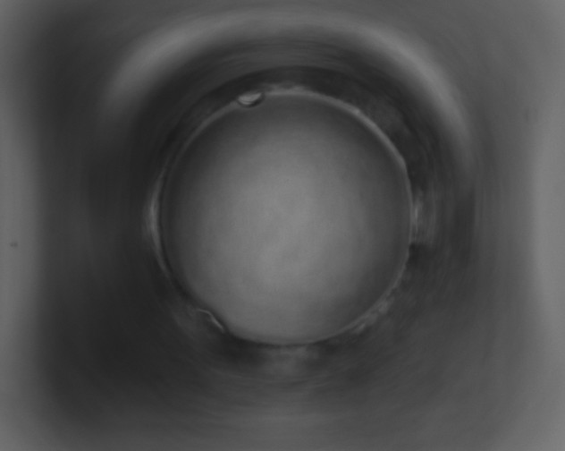 X0000101420099200807071324