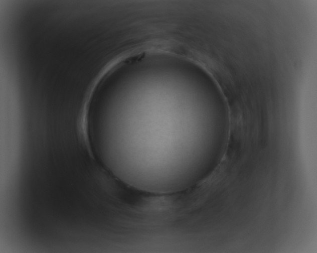 X0000101420100200807071324