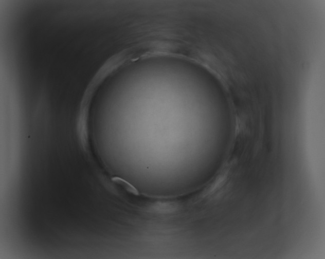 X0000101420101200807071324
