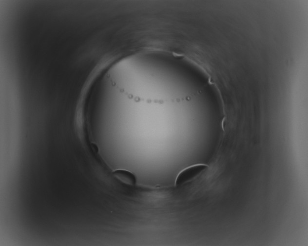 X0000101420102200807071324