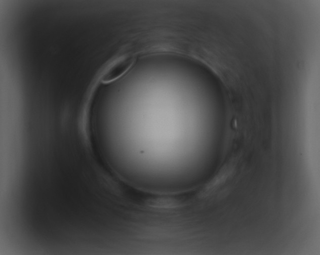 X0000101420104200807071324