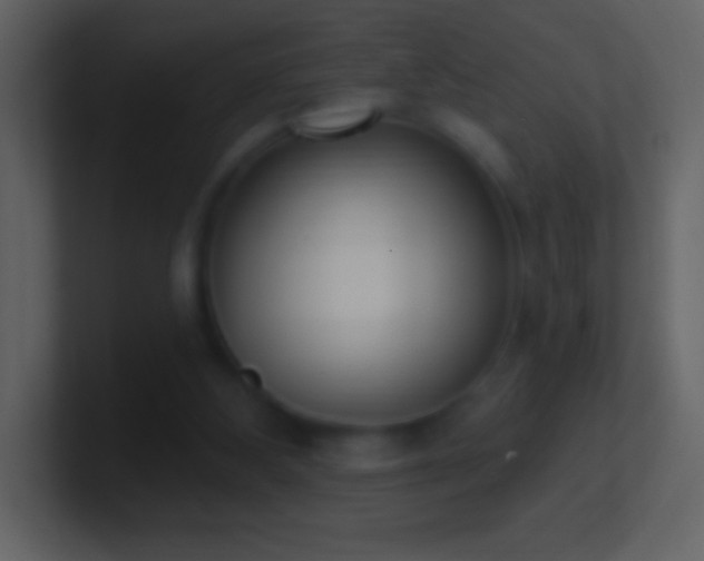 X0000101420108200807071324