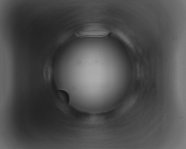 X0000101420109200807071324