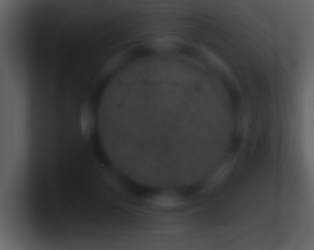 X0000101420124200807071324