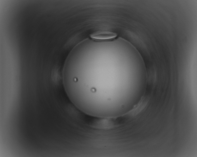 X0000101420140200807071324