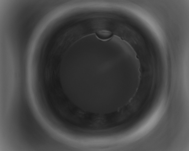 X0000101420143200807071324