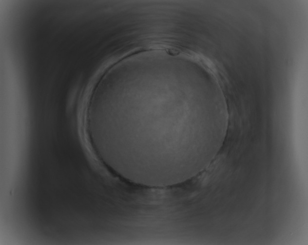 X0000101420145200807071323