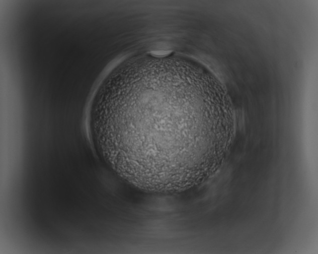 X0000101420147200807071323
