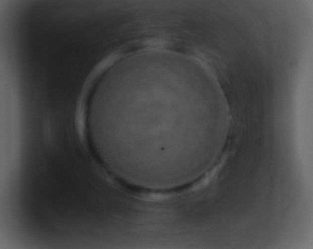 X0000101420149200807071323