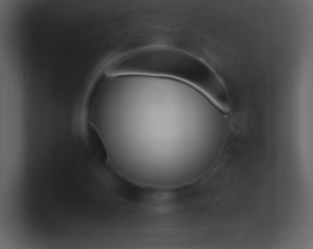 X0000101420152200807071323
