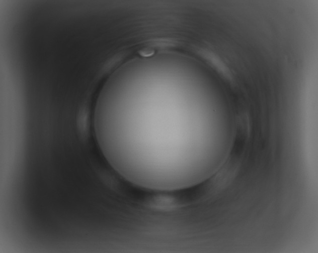 X0000101420159200807071323