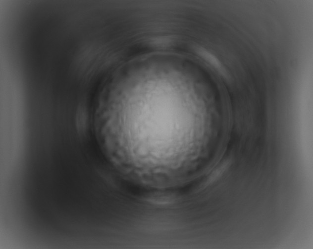 X0000101420161200807071323