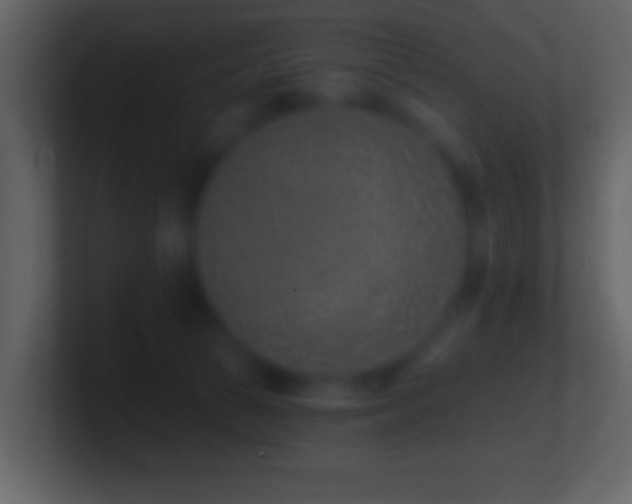 X0000101420177200807071324